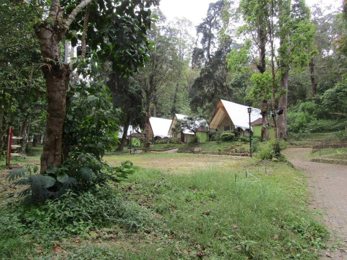 Lawu Forest Camp Саранган Екстер'єр фото