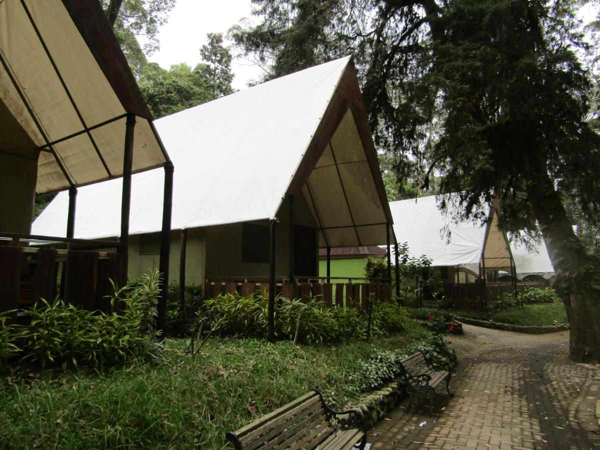 Lawu Forest Camp Саранган Екстер'єр фото