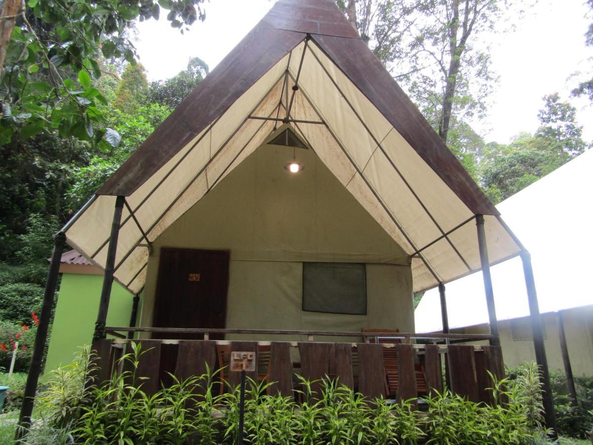 Lawu Forest Camp Саранган Екстер'єр фото